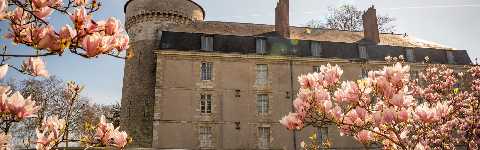 chateau de tours