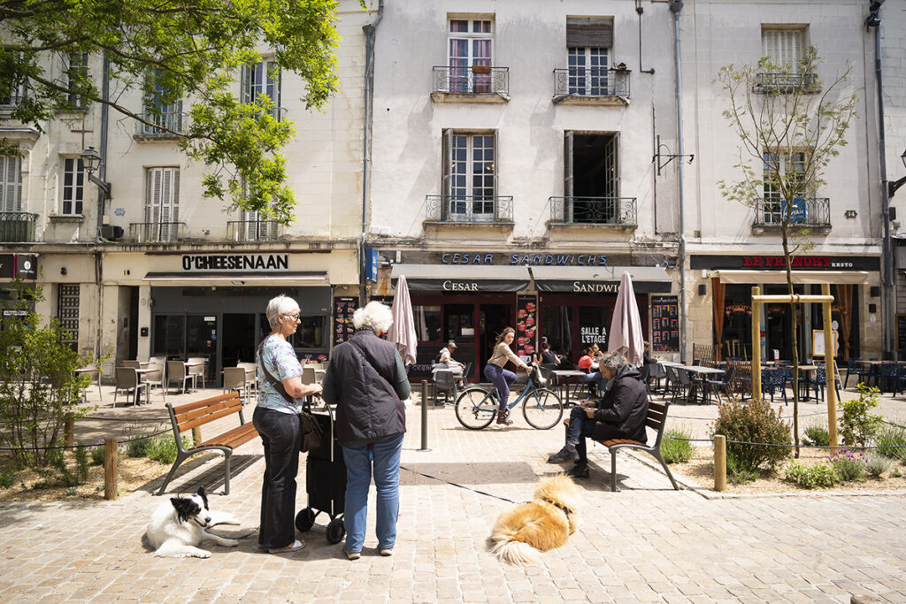 Agrandir l'image, fenêtre modale