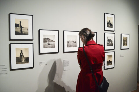 une femme qui regarde des photos exposées au château de tours