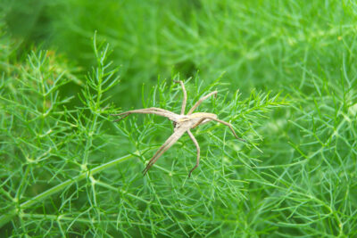 Zoom image 76604