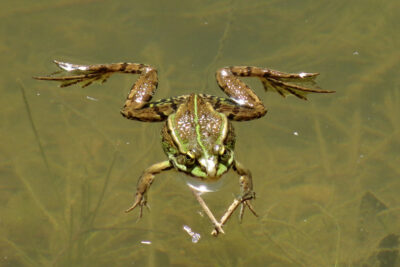 Zoom image 76612