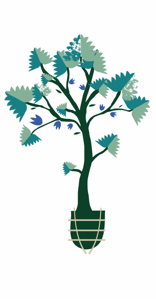 Arbre planté en motte - Agrandir l'image, fenêtre modale