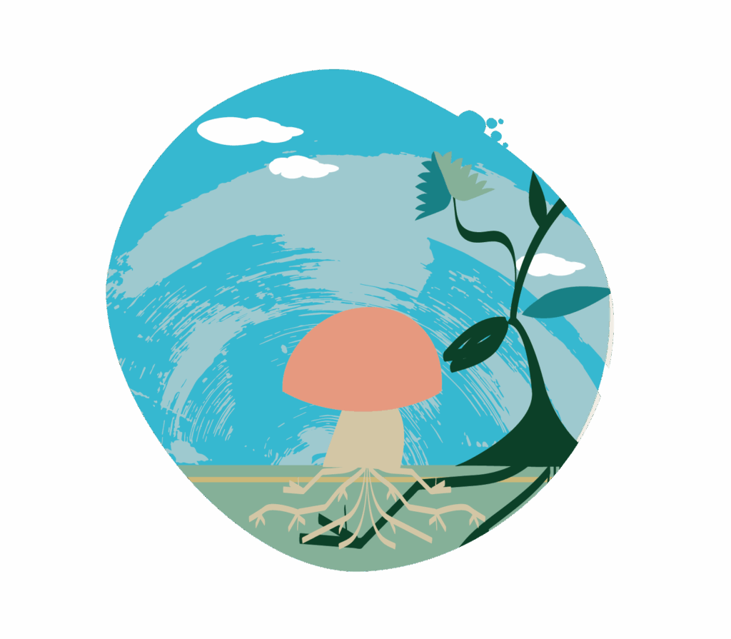 Symbiose arbre - champignon - Agrandir l'image, fenêtre modale
