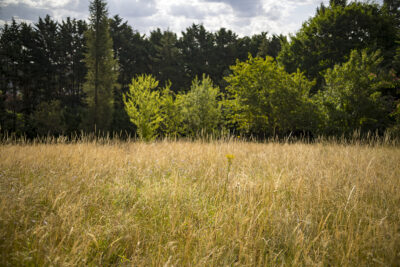 Zoom image 87866