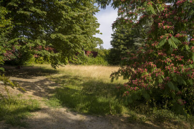 Zoom image 87864