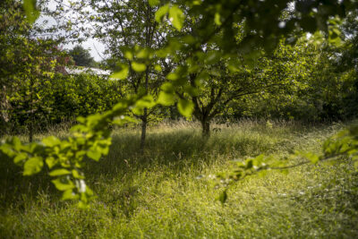 Zoom image 87863